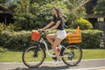 DYU C6 Pro 26in City E-Bike, 250W, 80KM Range - Image 2
