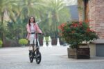 DYU C2 16in Folding E-Bike, 250W, 40KM Range - Image 10
