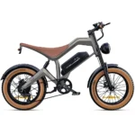 M20 All-Terrain Long-Range Electric Bike