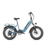 DYU FF500 20in Fat Tire E-Bike, 500W, 70KM Range