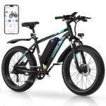 HITWAY BK15 4.0 Fat Tire Electric Bike product image
