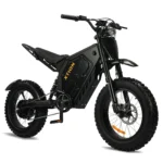 Xtion 3000W Electric Mountain Bike product image