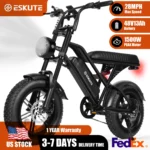 Eskute V100 1500W Fat Tire Electric Bike product image